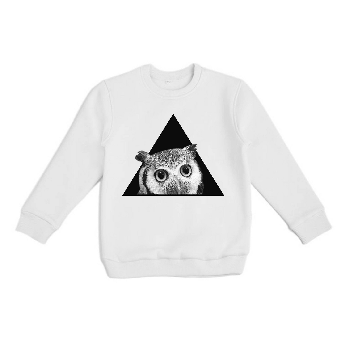 Sweatshirt Unisex (BP2016)