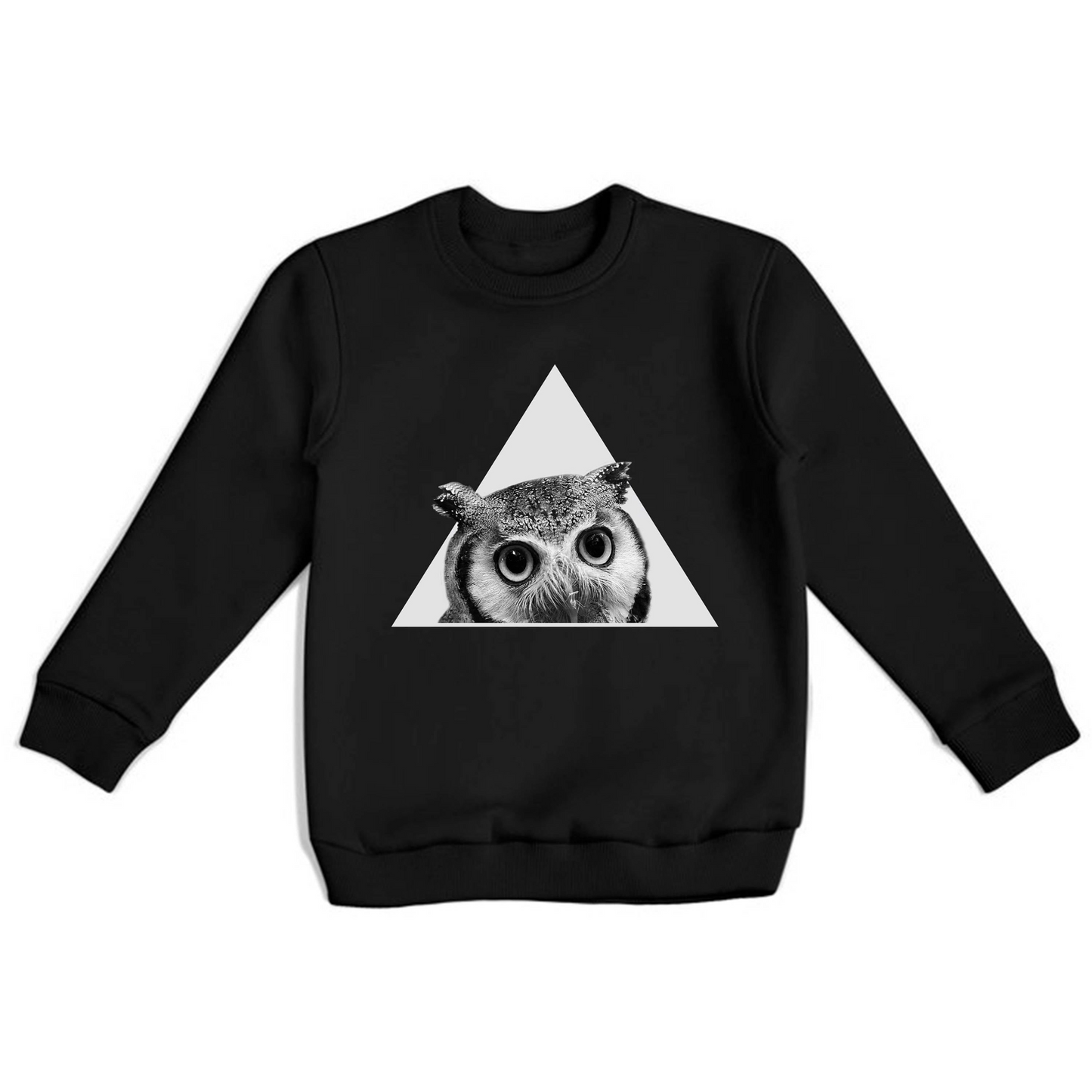 Sweatshirt Unisex (BP2016)